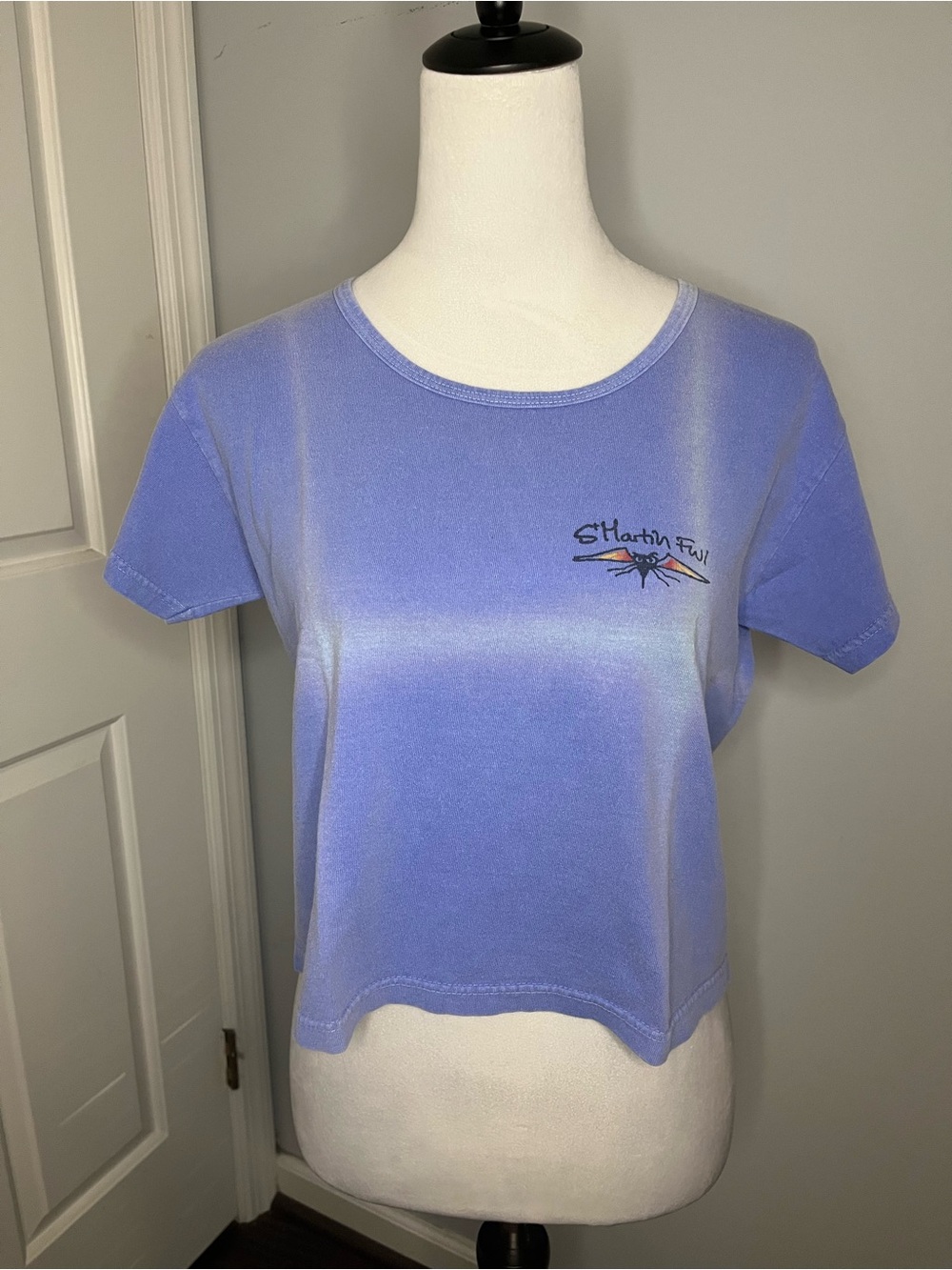 Vintage Authentic Pigment Anvil Cropped T Shirt